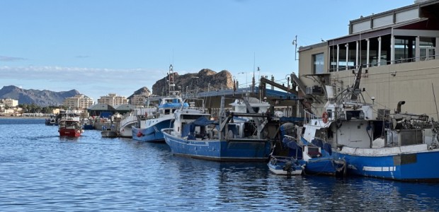 ​ La Cofradía de Pescadores de Águilas analiza junto al Gobierno Regional los desafíos del sector ante las nuevas exigencias para 2025