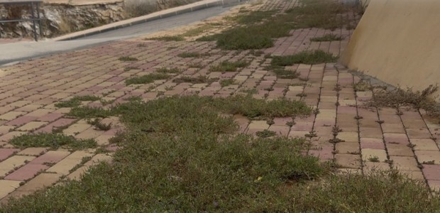 El Partido Popular propone crear un Plan Integral para recuperar y mantener los cabezos de Águilas