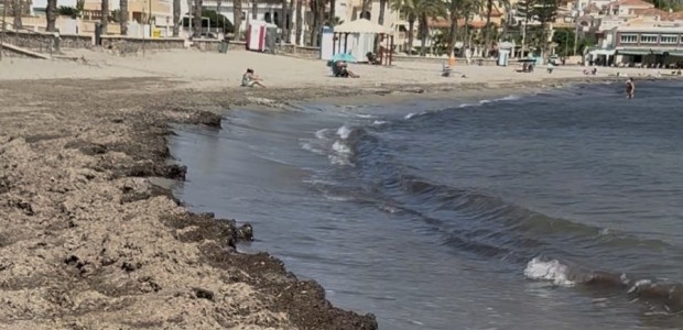 El Partido Popular reclama soluciones para la playa de Calabardina y pide al equipo de Gobierno que abandone la confrontación